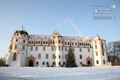 Celler_Schloss_Stadtansicht